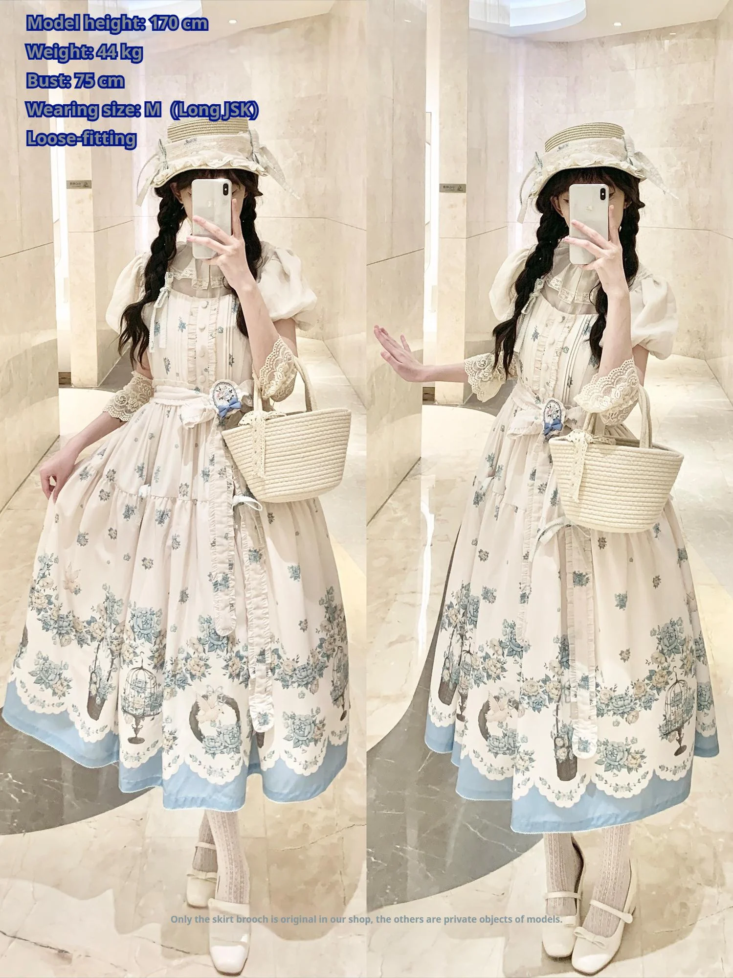 Floral and Bird Series - Classic Lolita JSK Dress, Floral Print - Image 23