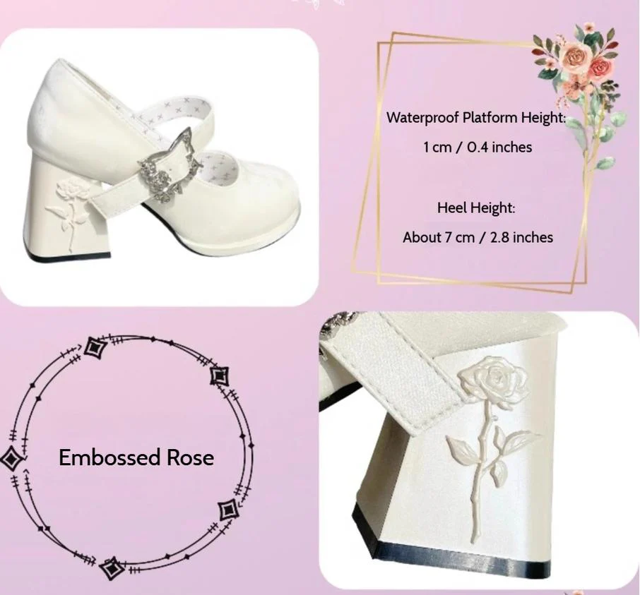 Dreamland - Wanxiang Cycle - Elegant Lolita Heel Shoes with Embossed Rose - Image 24