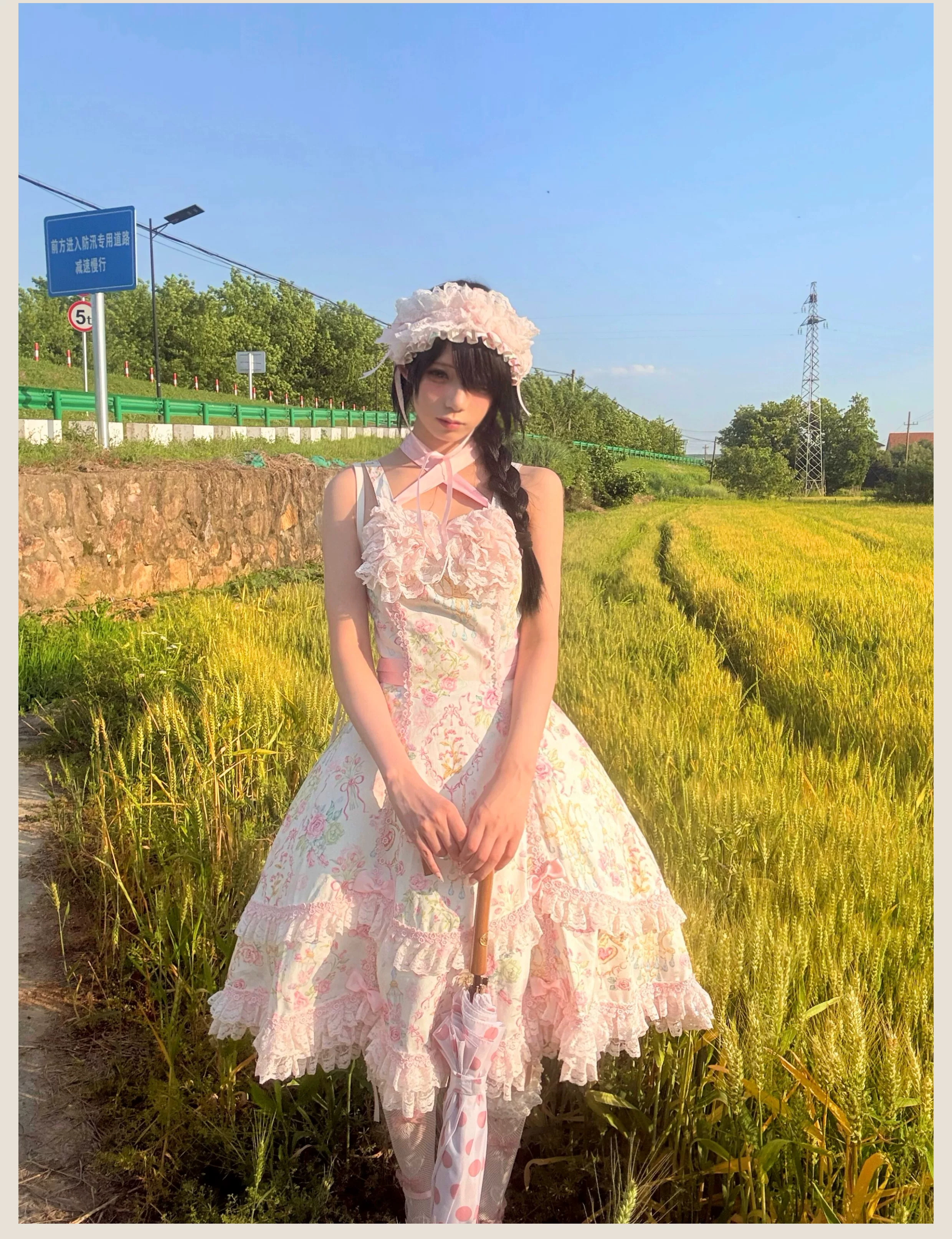 Spring 2025 - Floral Old School Lolita JSK Dress, Lace Trims - Image 20