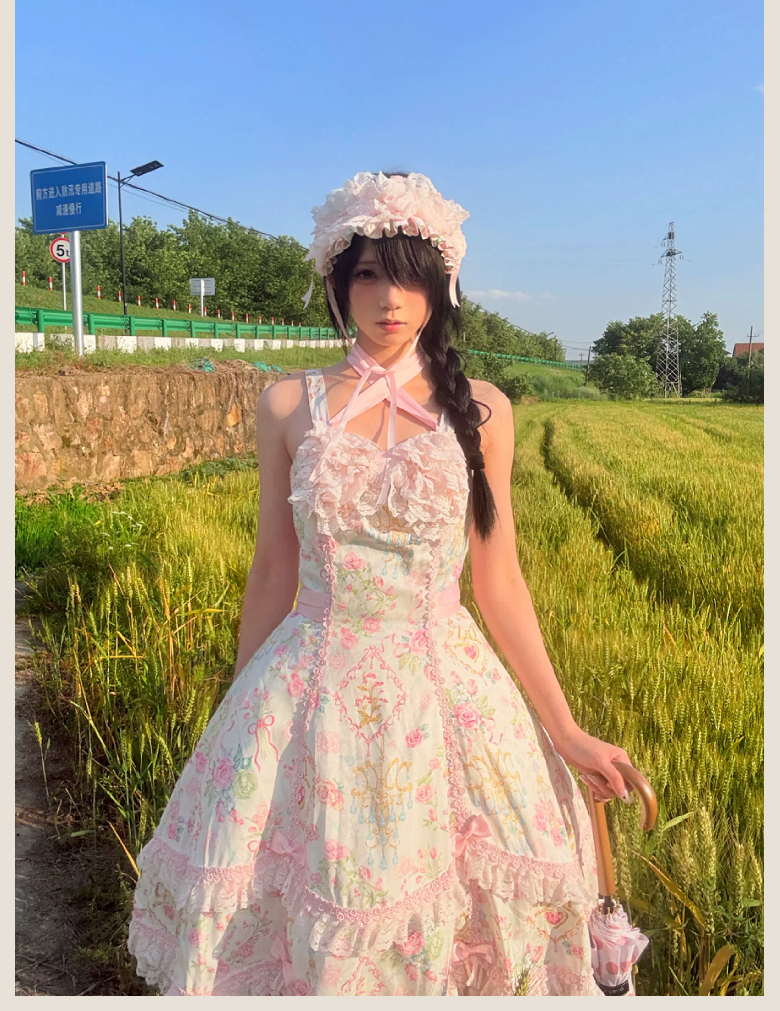 Spring 2025 - Floral Old School Lolita JSK Dress, Lace Trims - Image 23