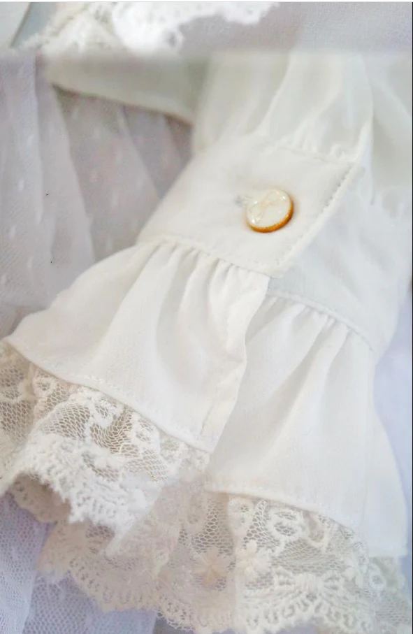 Elegant Lace-Up Back Lolita Blouse - Image 9